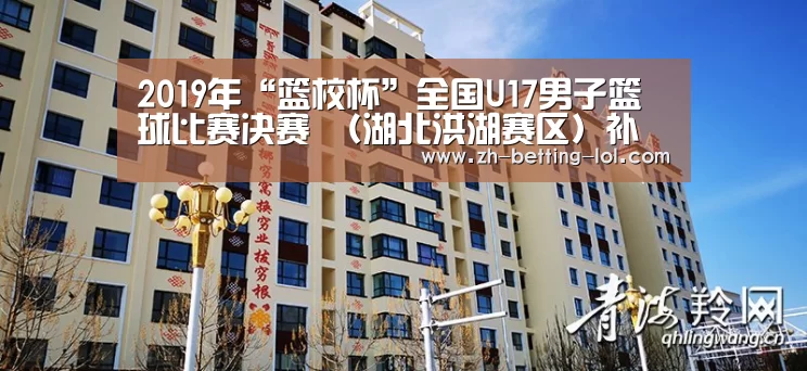 2019年“篮校杯”全国U17男子篮球比赛决赛 (湖北洪湖赛区)补充通知【 LOL全球总决赛下注官方网站】(图4) 英雄联盟竞猜大厅