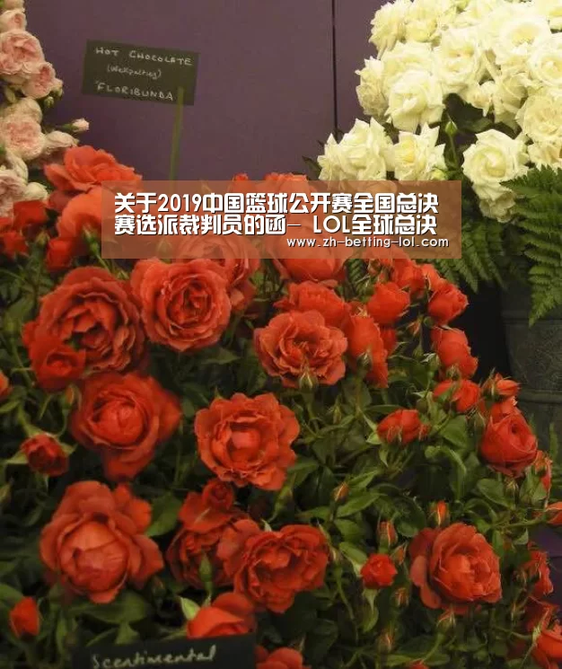 关于2019中国篮球公开赛全国总决赛选派裁判员的函- LOL全球总决赛下注官方网站(图3) 英雄联盟竞猜大厅